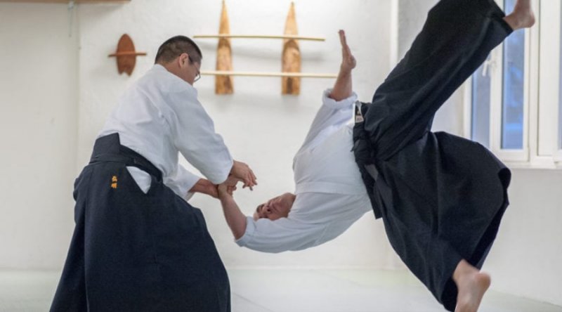 Learning aikido